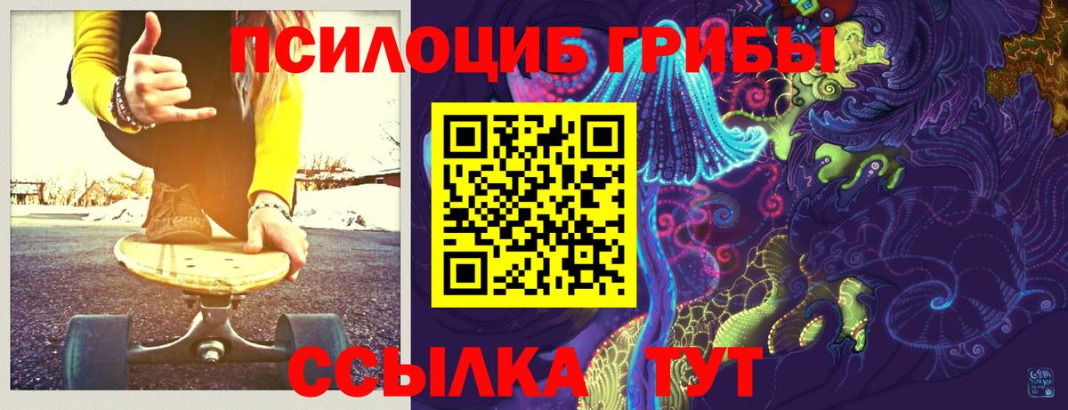 Кисловодск  Галлюциногенные грибы прущие грибы  Вход с VPN 